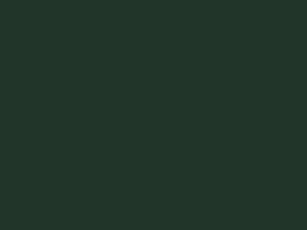 Жашыл чымчыктын түсү (RAL 6009)